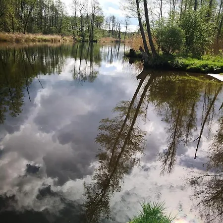 Landhof Trittelwitz Lägenhet Schonfeld (Mecklenburgische Seenplatte)
