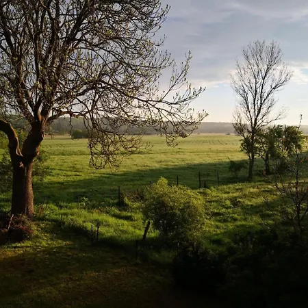 Lägenhet Landhof Trittelwitz Schonfeld (Mecklenburgische Seenplatte)