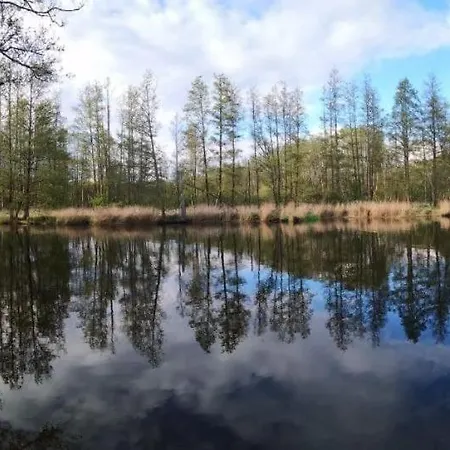 Landhof Trittelwitz Lägenhet Schonfeld (Mecklenburgische Seenplatte)