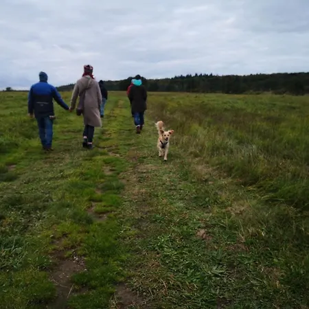Landhof Trittelwitz Lägenhet Schonfeld (Mecklenburgische Seenplatte)