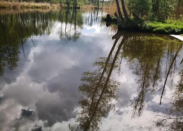 Landhof Trittelwitz Daire Schonfeld (Mecklenburgische Seenplatte)