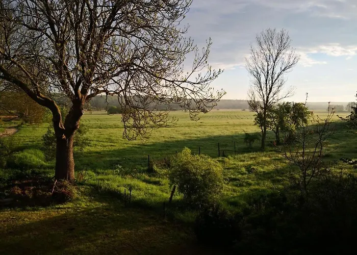 Daire Landhof Trittelwitz Schonfeld (Mecklenburgische Seenplatte)