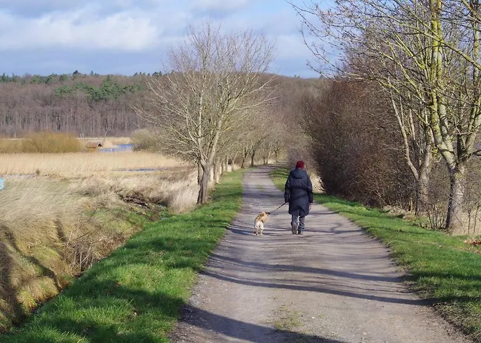 Daire Landhof Trittelwitz