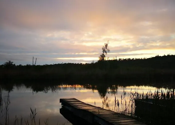 Daire Landhof Trittelwitz *