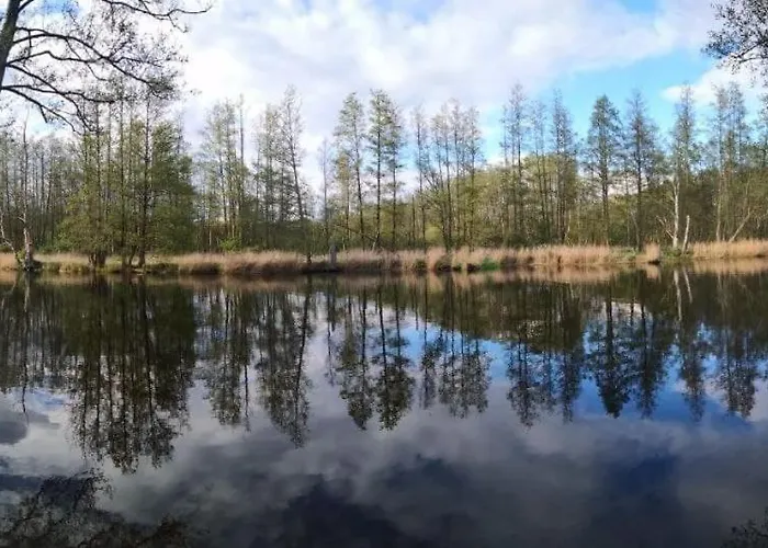 Landhof Trittelwitz Daire Schonfeld (Mecklenburgische Seenplatte)